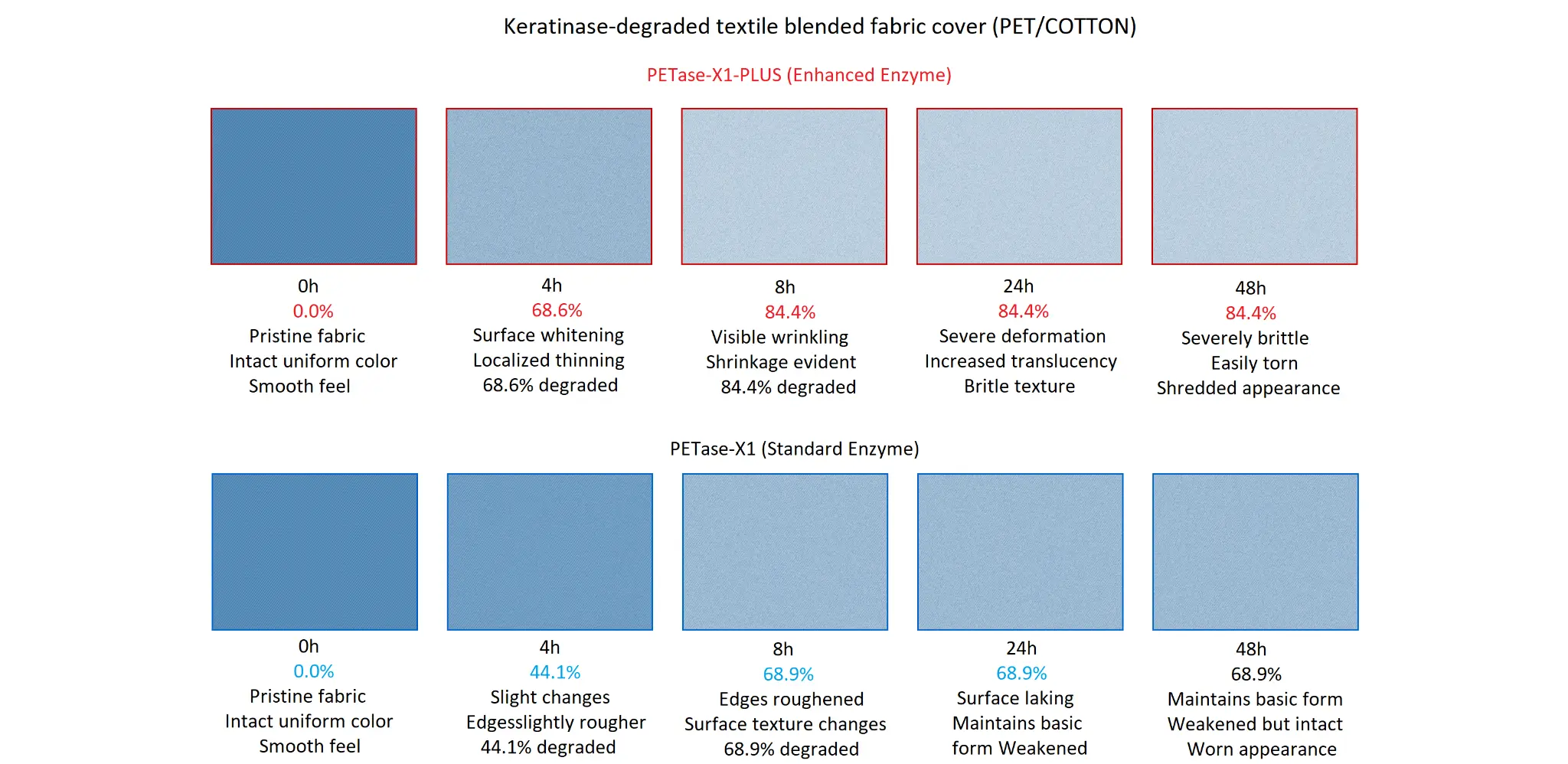 Degradation Timeline Comparison (Corrected)